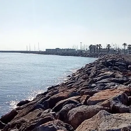 Le Liberte Et Port * Saint-Cyprien (Pyrenees-Orientales)